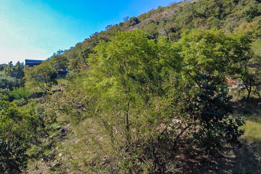 0 Bedroom Property for Sale in Milkwood Estate Mpumalanga