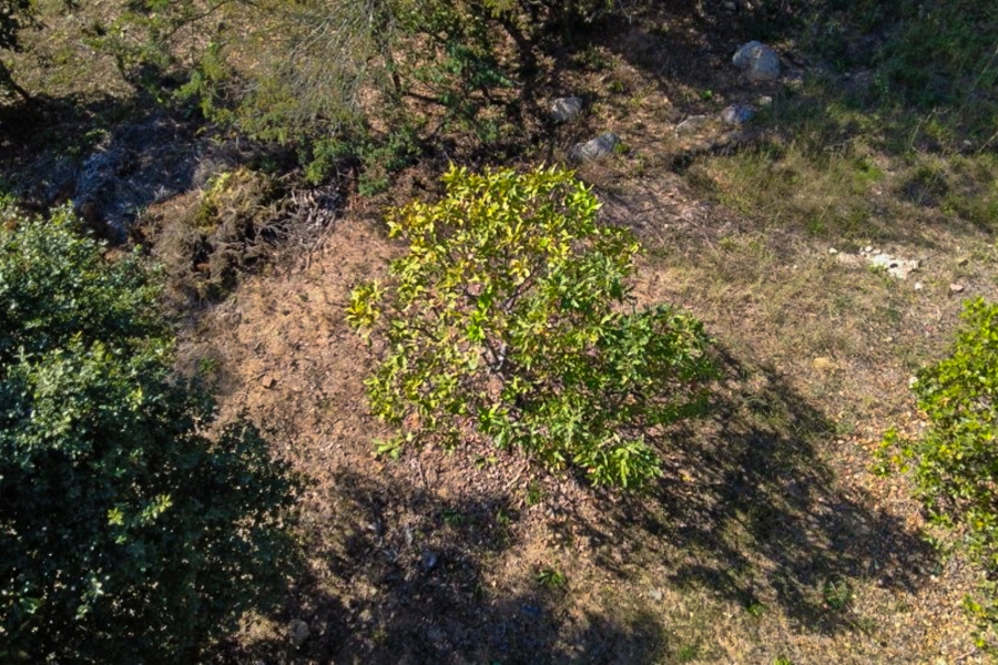 0 Bedroom Property for Sale in Milkwood Estate Mpumalanga