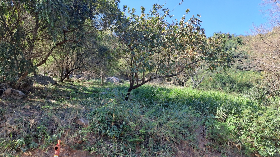 0 Bedroom Property for Sale in Milkwood Estate Mpumalanga