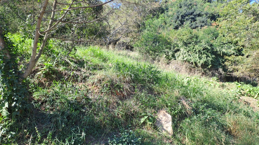 0 Bedroom Property for Sale in Milkwood Estate Mpumalanga