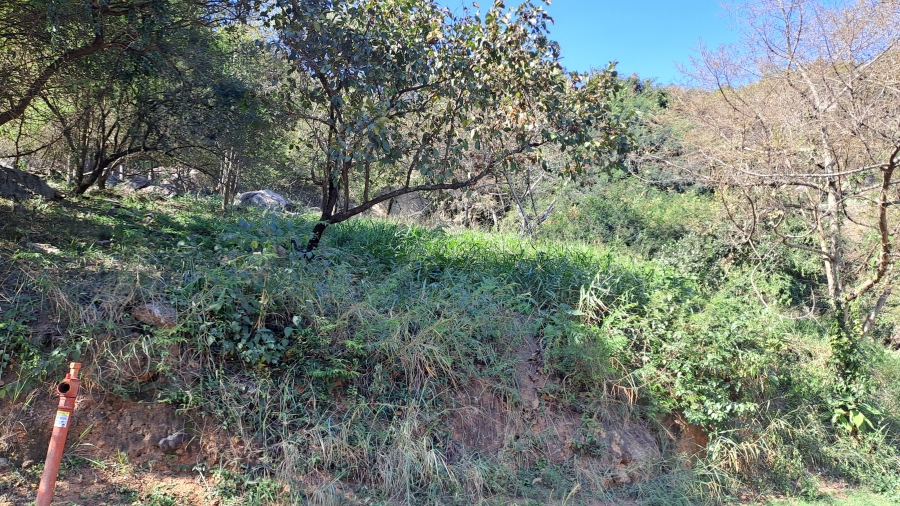 0 Bedroom Property for Sale in Milkwood Estate Mpumalanga