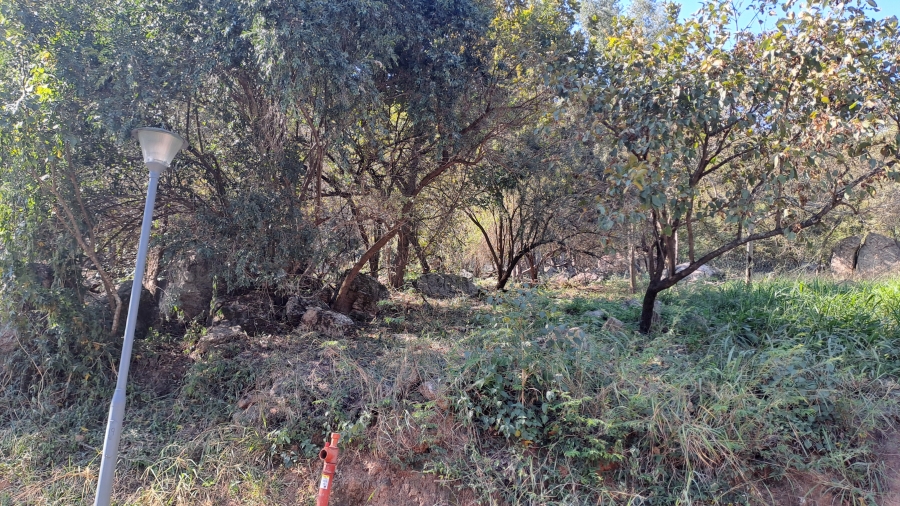 0 Bedroom Property for Sale in Milkwood Estate Mpumalanga