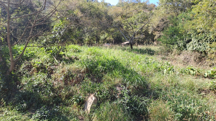 0 Bedroom Property for Sale in Milkwood Estate Mpumalanga