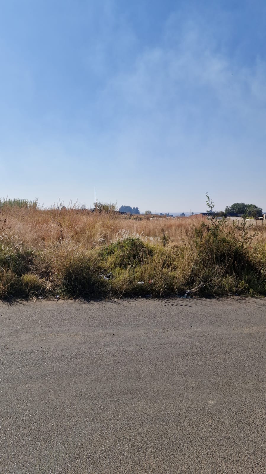 0 Bedroom Property for Sale in Marelden Mpumalanga