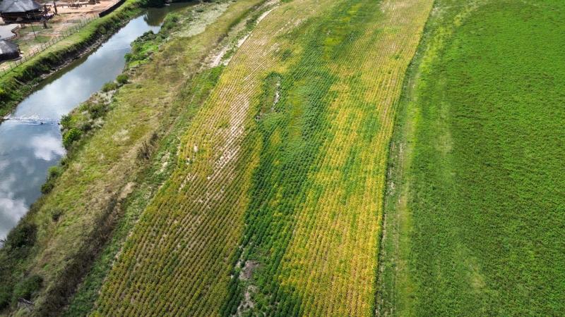 Commercial Property for Sale in Komdraai Mpumalanga