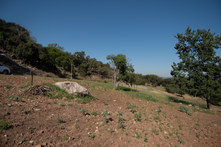 0 Bedroom Property for Sale in Sonheuwel Ext 1 Mpumalanga