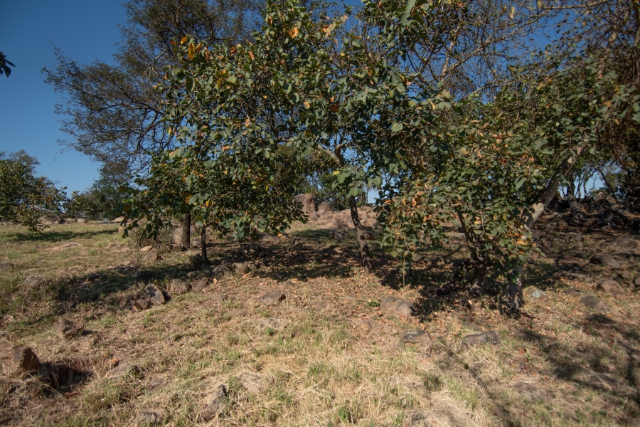 0 Bedroom Property for Sale in Sonheuwel Ext 1 Mpumalanga