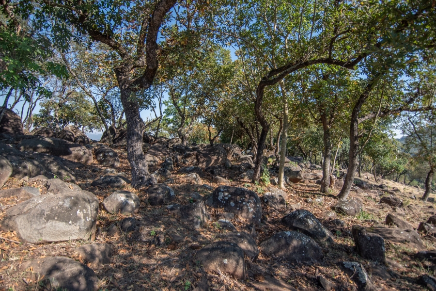 0 Bedroom Property for Sale in Sonheuwel Ext 1 Mpumalanga