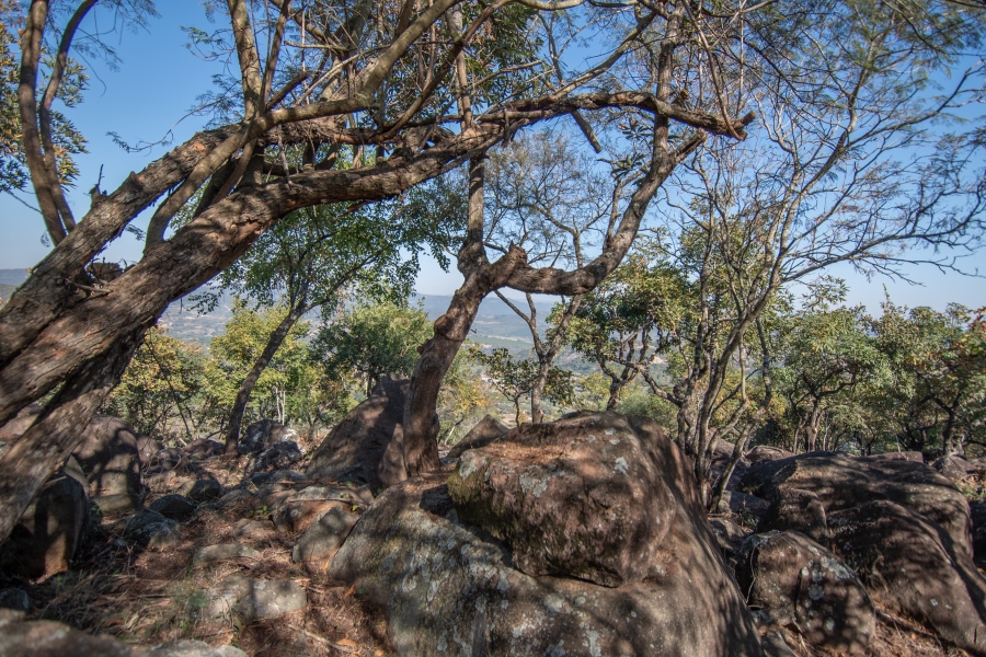 0 Bedroom Property for Sale in Sonheuwel Ext 1 Mpumalanga