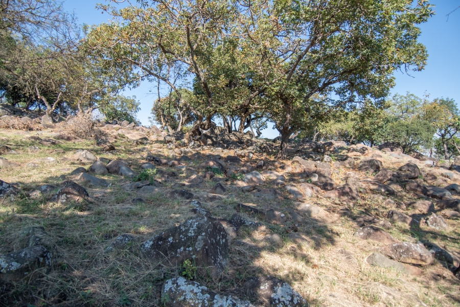 0 Bedroom Property for Sale in Sonheuwel Ext 1 Mpumalanga