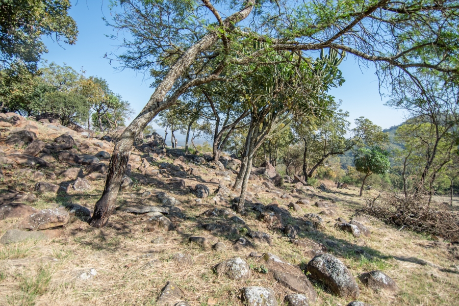 0 Bedroom Property for Sale in Sonheuwel Ext 1 Mpumalanga