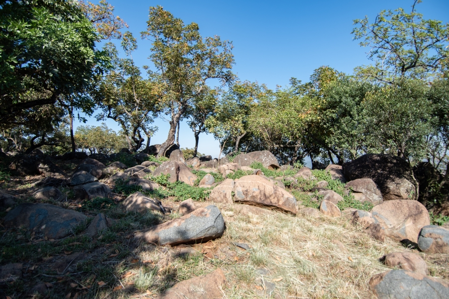 0 Bedroom Property for Sale in Sonheuwel Ext 1 Mpumalanga