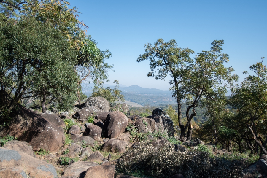 0 Bedroom Property for Sale in Sonheuwel Ext 1 Mpumalanga