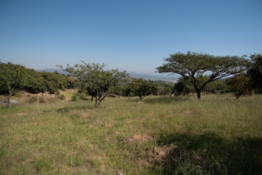 0 Bedroom Property for Sale in Sonheuwel Ext 1 Mpumalanga