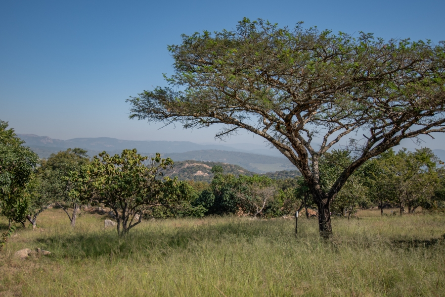 0 Bedroom Property for Sale in Sonheuwel Ext 1 Mpumalanga