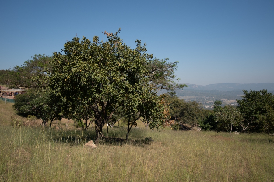 0 Bedroom Property for Sale in Sonheuwel Ext 1 Mpumalanga