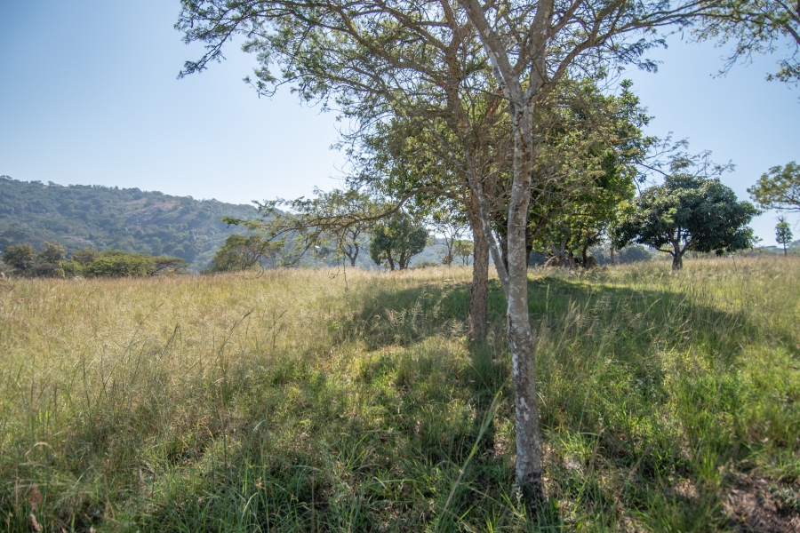 0 Bedroom Property for Sale in Sonheuwel Ext 1 Mpumalanga