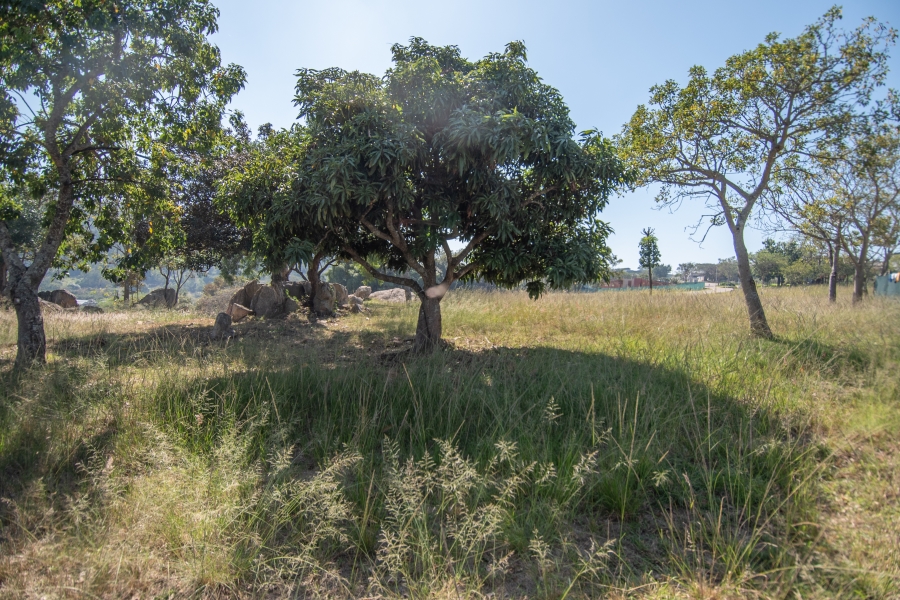 0 Bedroom Property for Sale in Sonheuwel Ext 1 Mpumalanga