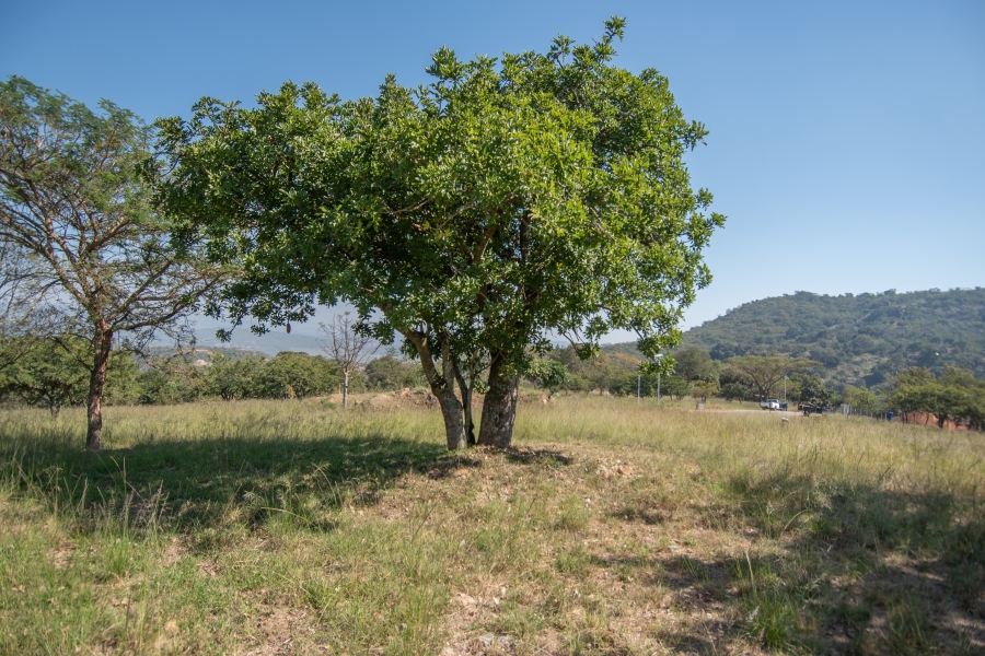 0 Bedroom Property for Sale in Sonheuwel Ext 1 Mpumalanga