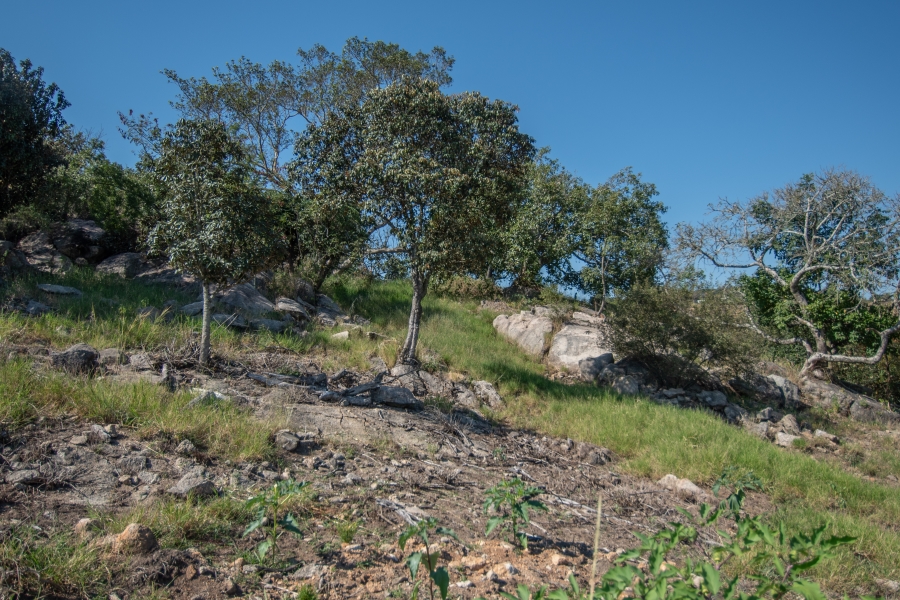 0 Bedroom Property for Sale in Sonheuwel Ext 1 Mpumalanga