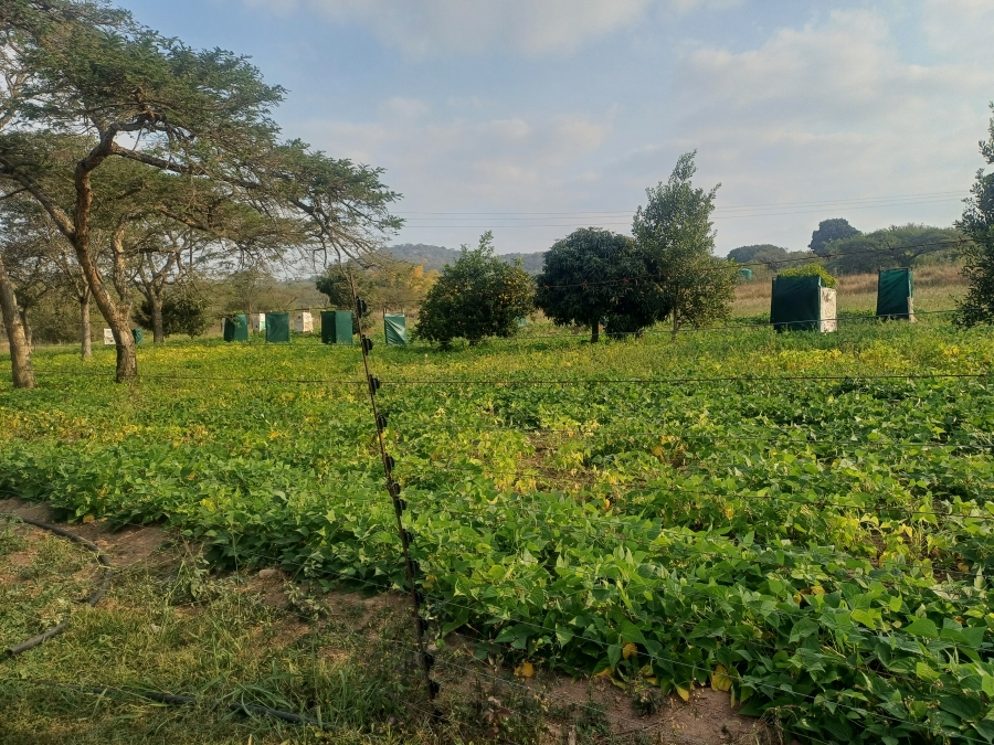 Commercial Property for Sale in Nelspruit Rural Mpumalanga