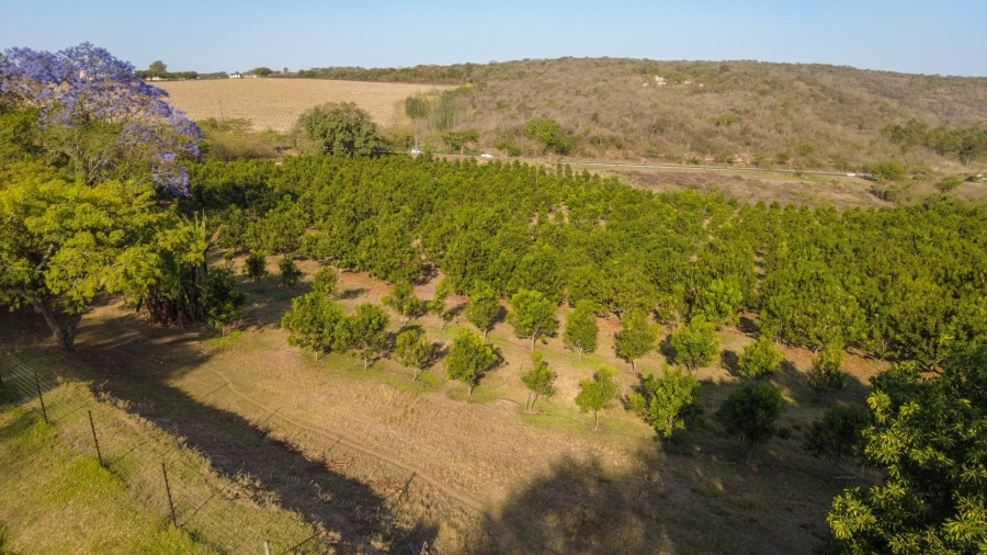 5 Bedroom Property for Sale in White River Mpumalanga