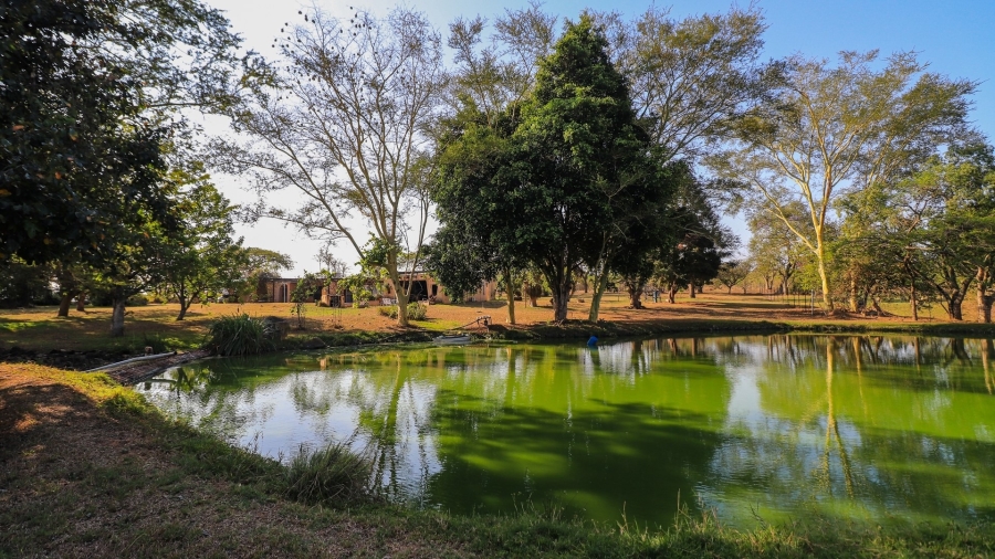 5 Bedroom Property for Sale in White River Mpumalanga