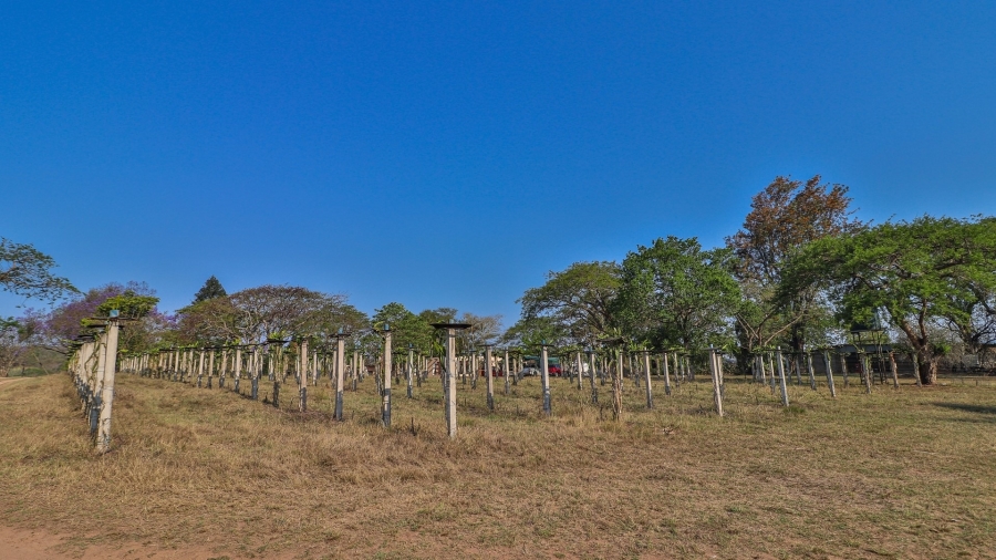 5 Bedroom Property for Sale in White River Mpumalanga