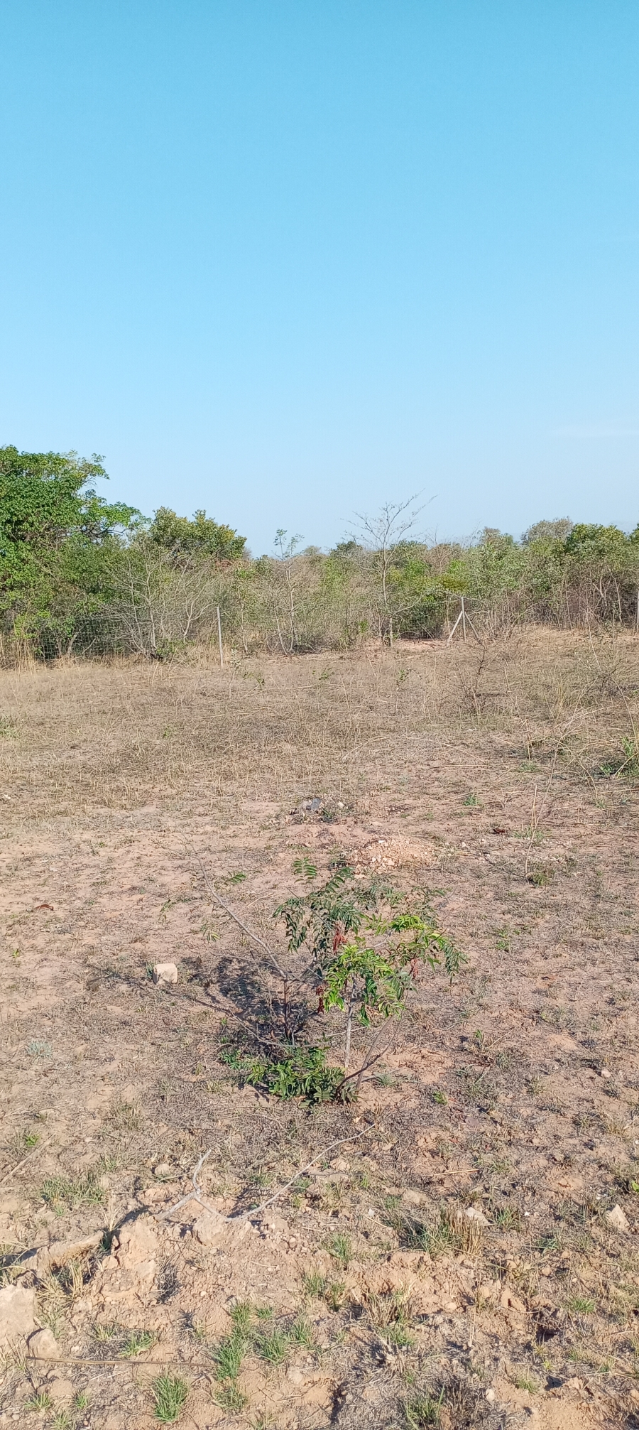 Commercial Property for Sale in White River Mpumalanga