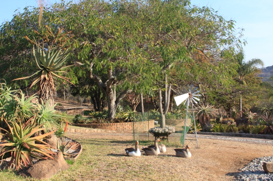 5 Bedroom Property for Sale in Renosterkop Mpumalanga