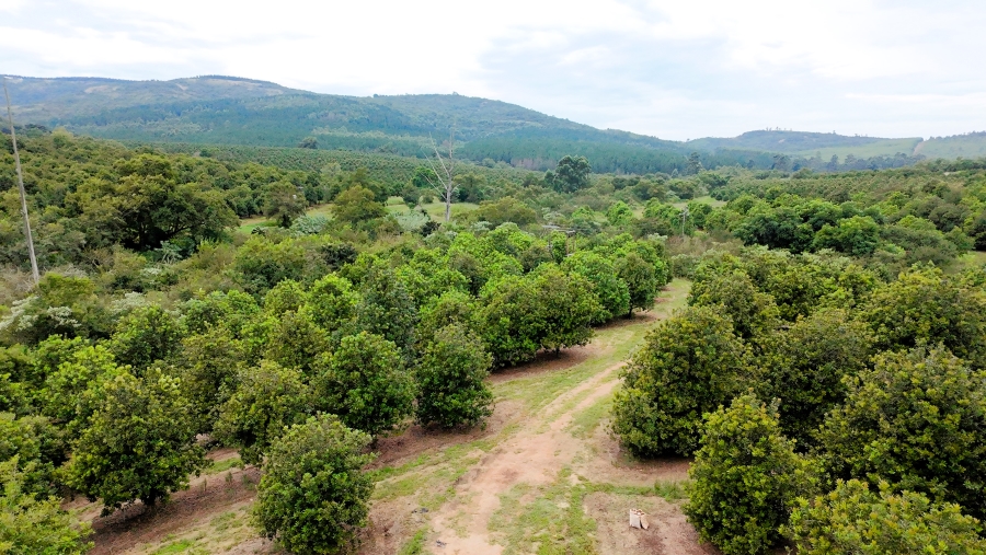 Commercial Property for Sale in Nelspruit Rural Mpumalanga