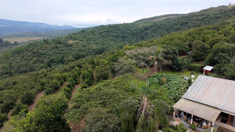 Commercial Property for Sale in Nelspruit Rural Mpumalanga