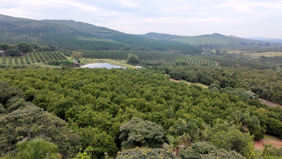 Commercial Property for Sale in Nelspruit Rural Mpumalanga