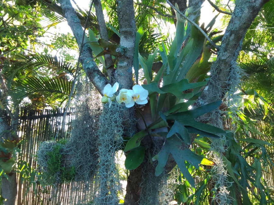 12 Bedroom Property for Sale in White River Mpumalanga