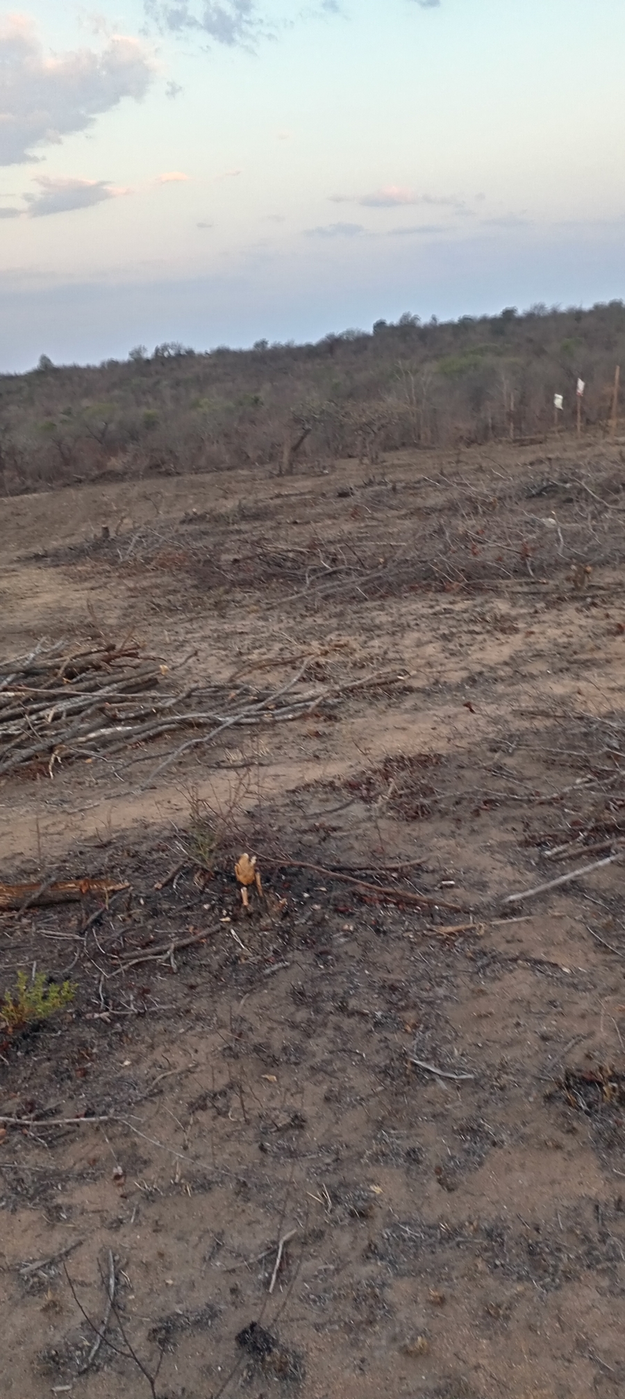 0 Bedroom Property for Sale in Hazyview Rural Mpumalanga