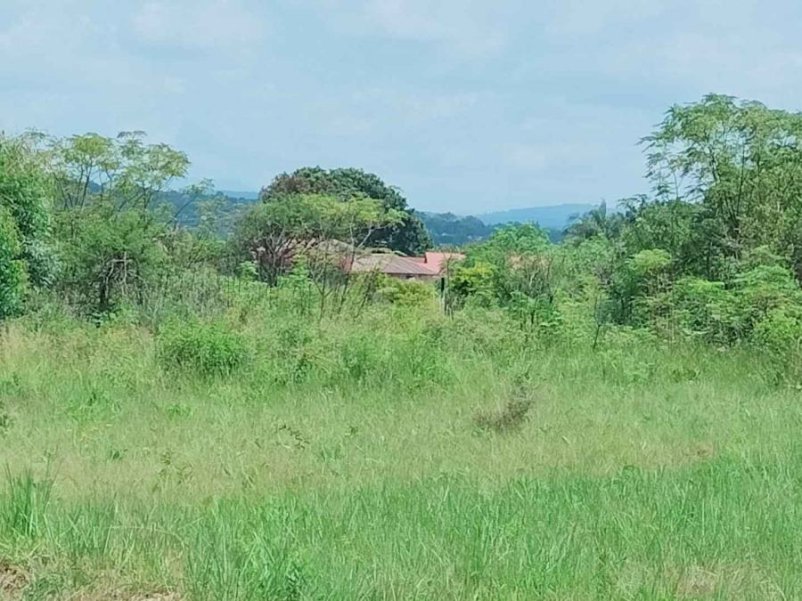 0 Bedroom Property for Sale in White River Mpumalanga