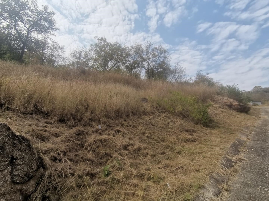0 Bedroom Property for Sale in Drum Rock Mpumalanga