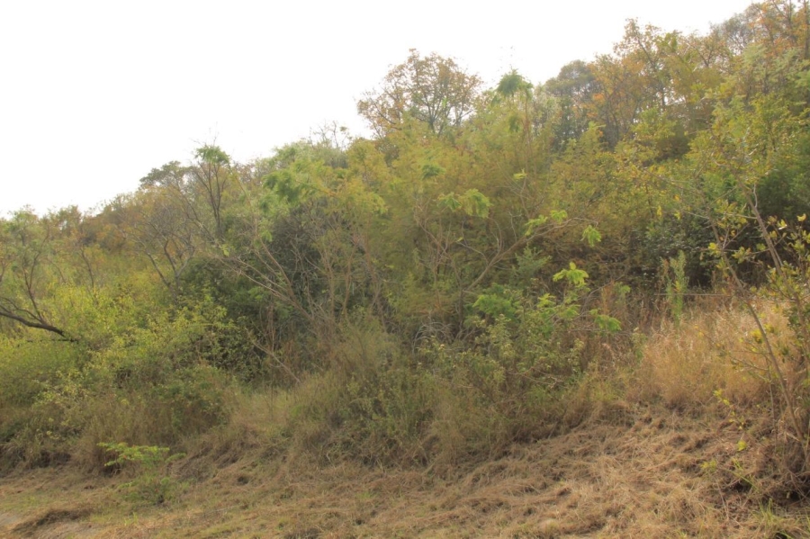 0 Bedroom Property for Sale in Drum Rock Mpumalanga