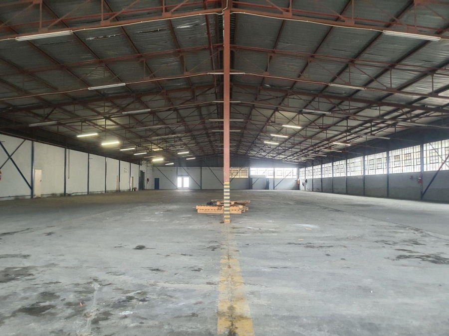 To Let commercial Property for Rent in Rocky Drift Mpumalanga