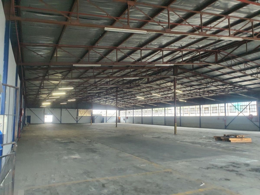 To Let commercial Property for Rent in Rocky Drift Mpumalanga