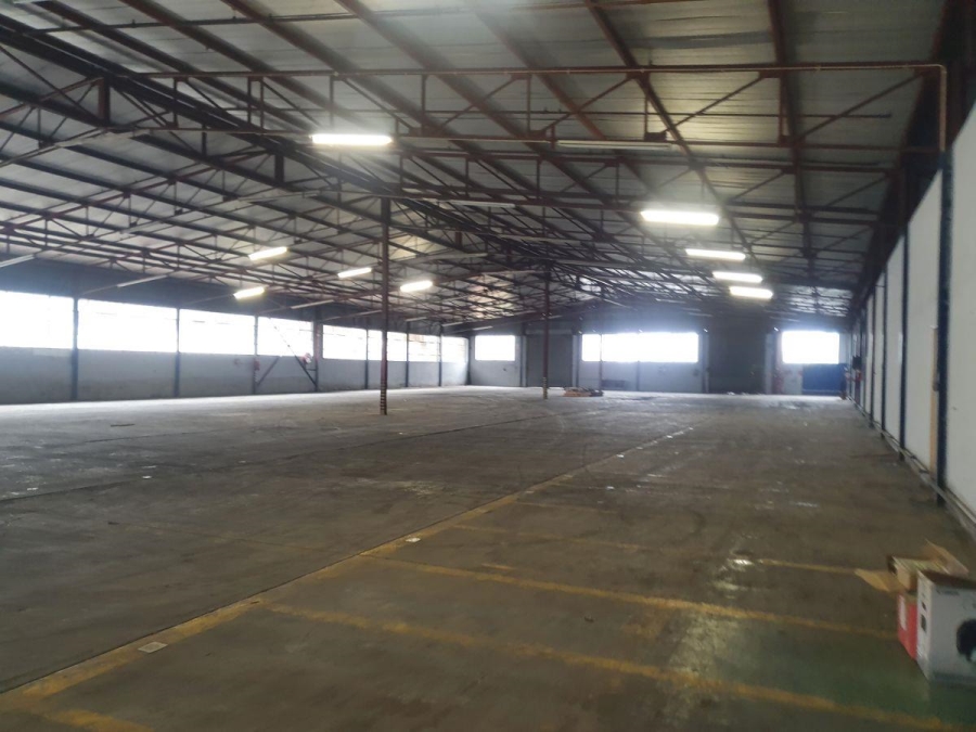 To Let commercial Property for Rent in Rocky Drift Mpumalanga