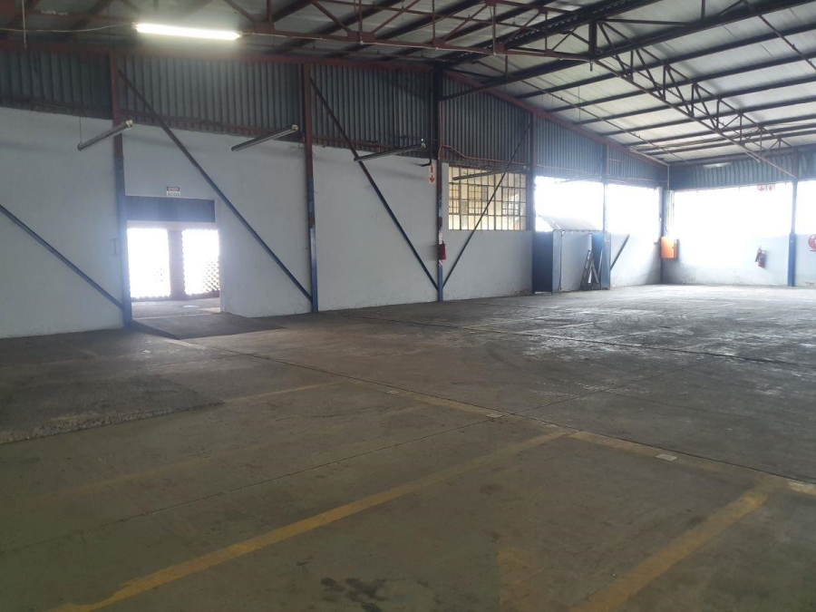 To Let commercial Property for Rent in Rocky Drift Mpumalanga