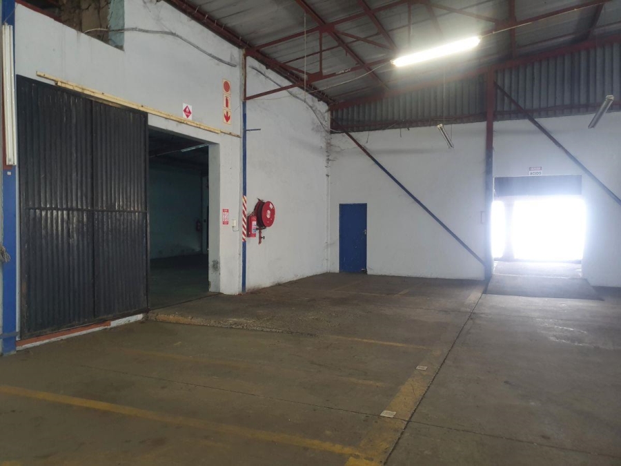 To Let commercial Property for Rent in Rocky Drift Mpumalanga