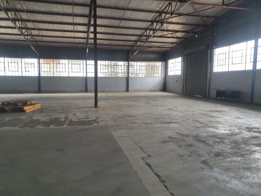 To Let commercial Property for Rent in Rocky Drift Mpumalanga