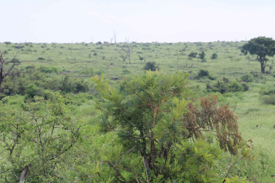 30 Bedroom Property for Sale in Komatipoort Mpumalanga