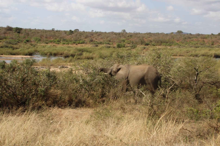 30 Bedroom Property for Sale in Komatipoort Mpumalanga