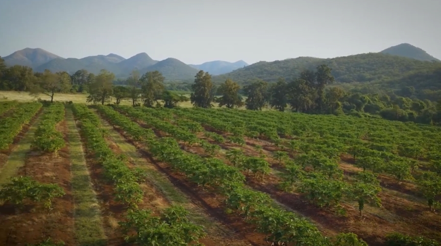 30 Bedroom Property for Sale in Komatipoort Mpumalanga