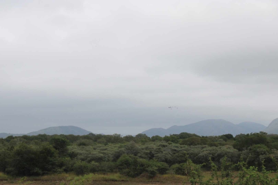 30 Bedroom Property for Sale in Komatipoort Mpumalanga