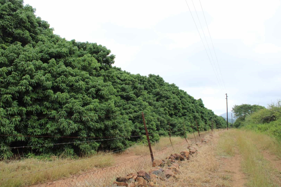30 Bedroom Property for Sale in Komatipoort Mpumalanga
