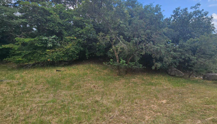 0 Bedroom Property for Sale in Sonheuwel Mpumalanga